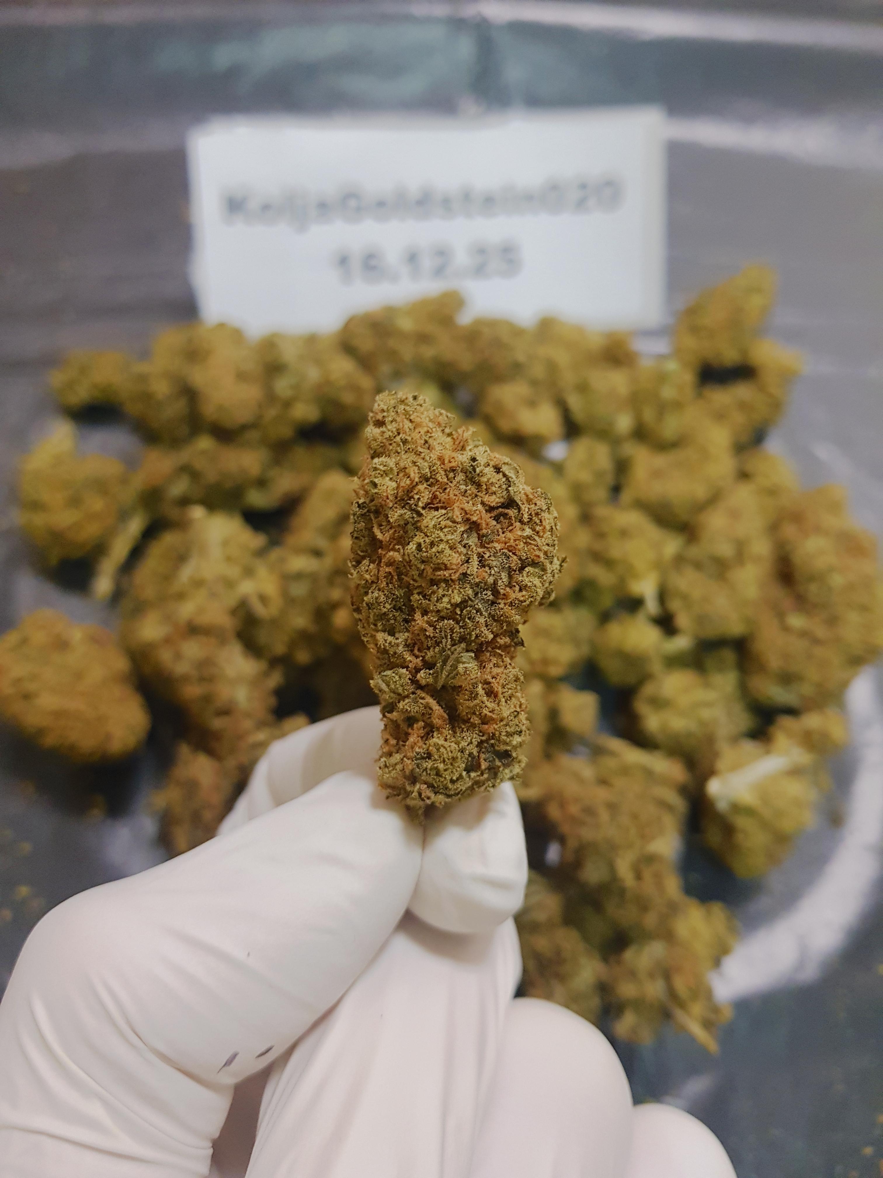 Amnesia Haze #1
