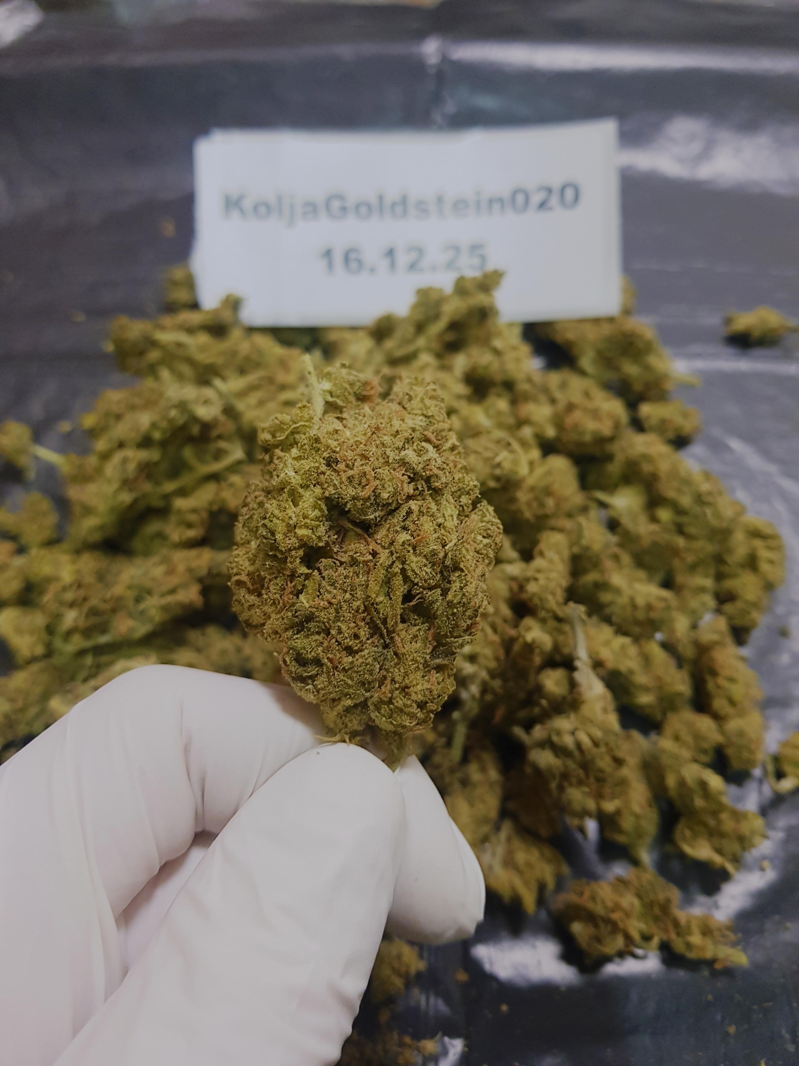 Amnesia Haze #2